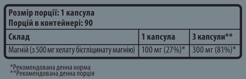 SPORTER MAGNESIUM CHELATE - 90 КАПС 01443 фото