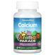 Без цукру Nature's Plus Calcium Children's Chewable 90 смоктальних таблеток 01961 фото 1