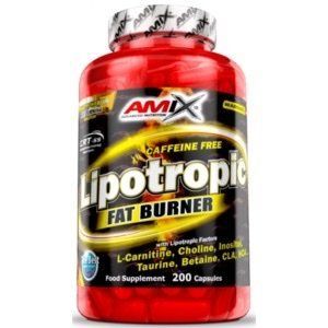 AMIX LIPOTROPIC FAT BURNER - 100 КАПС 01204 фото