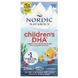 Nordic Naturals Children's DHA Strawberry 90 жевательных мини-капсул 01941 фото 1
